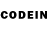 Псилоцибиновые грибы GOLDEN TEACHER jaften