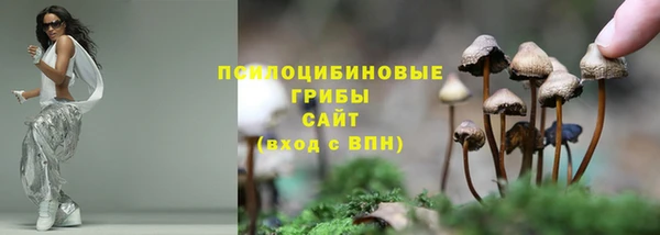 PSILOCYBIN Алзамай