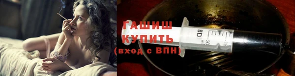 PSILOCYBIN Алзамай