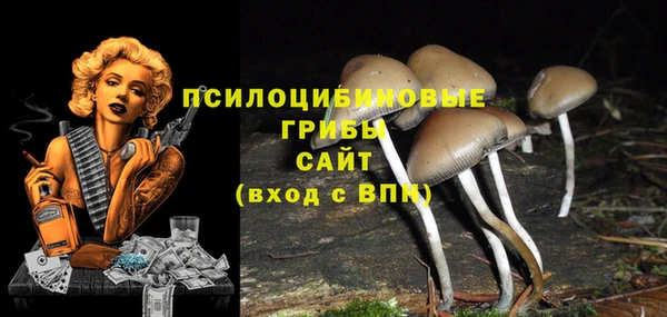 PSILOCYBIN Алзамай