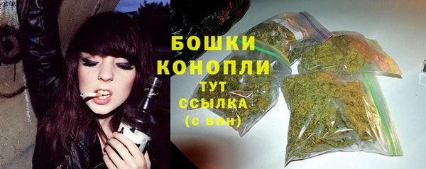 прущий лед Арсеньев