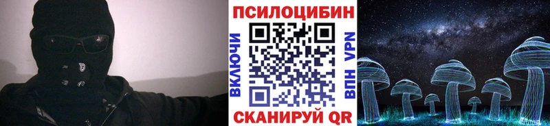 закладки  Майкоп  ОМГ ОМГ ONION  Галлюциногенные грибы Psilocybine cubensis 