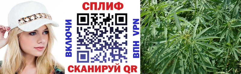 купить   Майкоп  Каннабис THC 21% 